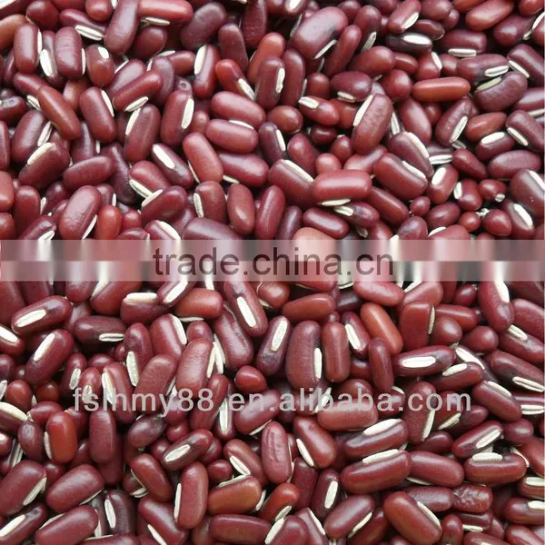 Adsuki Bean
