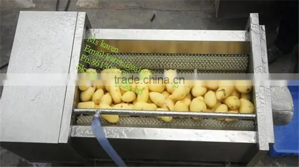 Cassava Peeling and Washing Machine /cassava Washing Machine photo-4