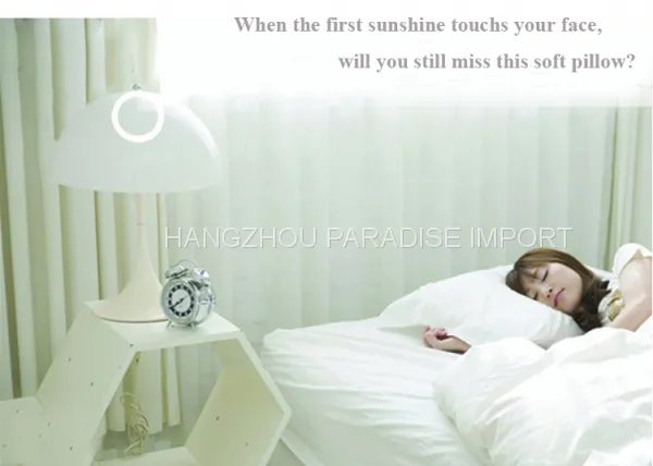 Down Feather Cushion and Cotton Pillows From China Manufacturer