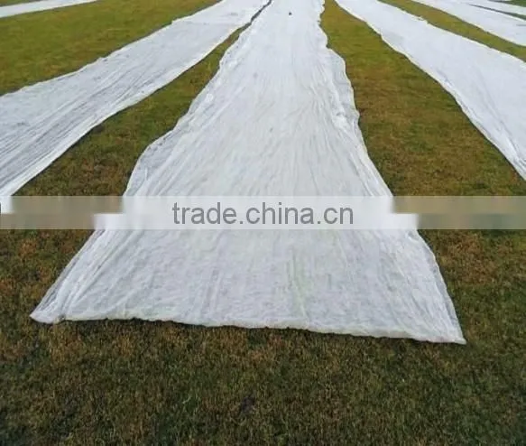 3% UV Resistant Agriculture Nonwoven Fabric photo-5