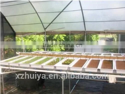 Wet Floral Foam for Agriculture Soilless Seedings Planting photo-4