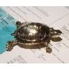 Gold-plated Turtle Ecological Simulation/Freshwater Turtles/Tortoise/Sea Turtle