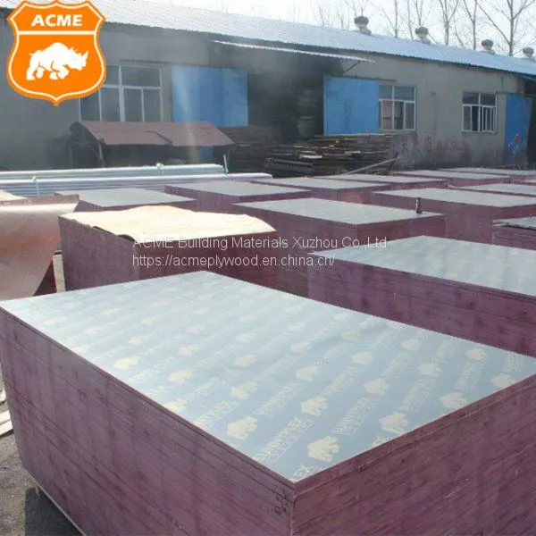 1250x2550mm Structural Plywood for Construction photo-5