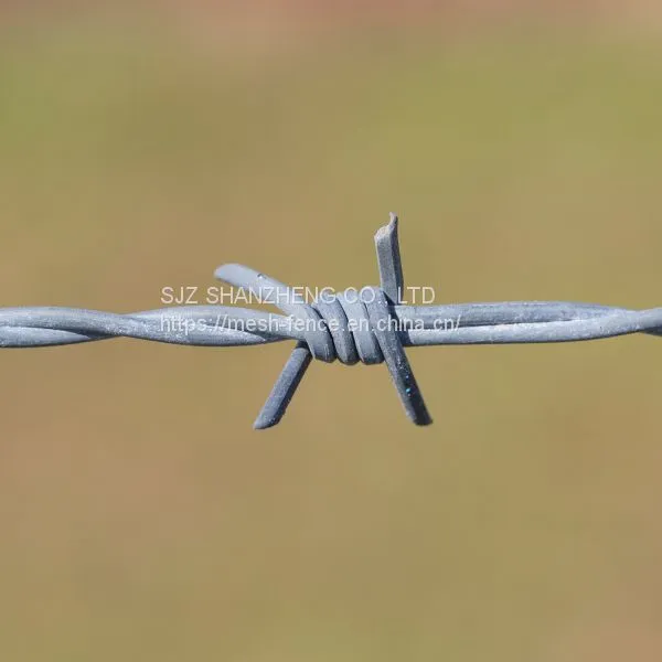 Hot Dipped Galvanized Barbed Wire Security Fence photo-3
