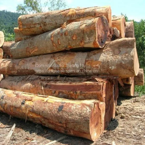 IROKO WOOD PADOUK, SAWN TIMBER WENGE, DOUSSIE, SAPELLI, AZOBE, ZEBRANO ROUND LOGS AVAILABLE FOR EXPORT photo-5