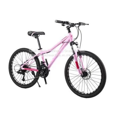 High Quality Mountain Bikes for Men and Women Wholesale Mountain Bike Factory Price