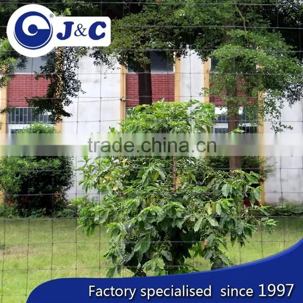 anti bird protection netting for airport,greenhouse net , anti Bird protection net,plastic anti bird net