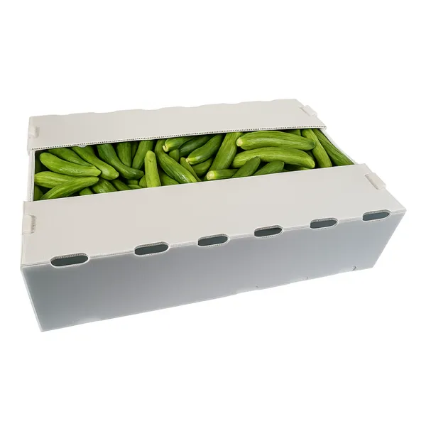 Custom PP Corrugated Plastic Okra and Vegetable Packing Boxes – Wholesale Manufacturer photo-4
