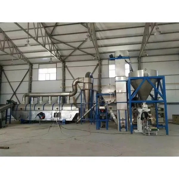 Edible Refined Salt Crushing Washing Drying Line photo-4