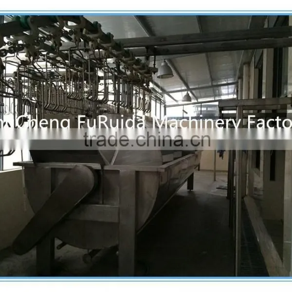 Livestock and Poultry Slaughtering Equipment/blanching Machine photo-3