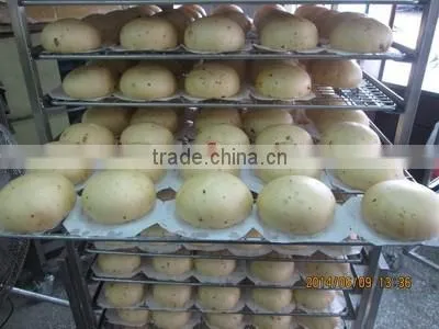 TY-812 Meat Bun Machine photo-6