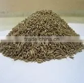 Cumin Seeds Europe Quality 99.5 % Purity