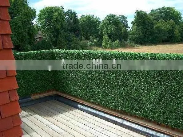 High Quality Artificial Boxwood Mat/ Hedge for Decoration Wall photo-2