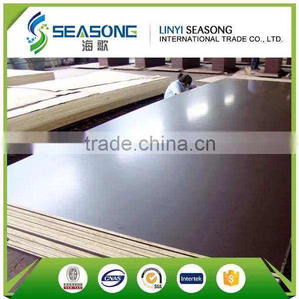 for Overseas Market Film Faced Plywood for Construction photo-6