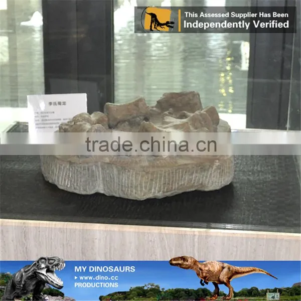 MY Dino-C093 Museum Exhibition Dinosaur Egg Specimen photo-3