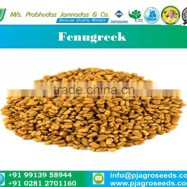 Fenugreek
