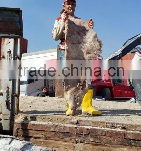 WET SALTED COW HEAD SKIN photo-2