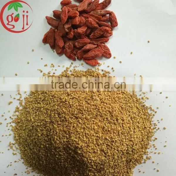 High Quality Goji Berry Seeds for Growing Plants photo-2