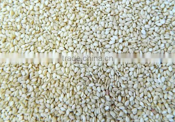 HULLED SESAME SEEDS