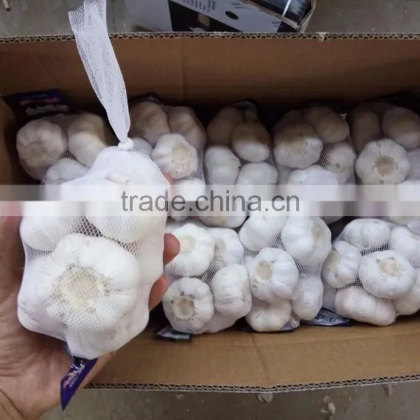 YUYUAN Brand Hot Sail Fresh Garlic Dehydrated Garlic Price photo-4