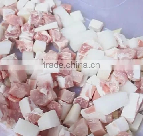 Industrial Frozen Meat Cube Cutting Machine photo-6