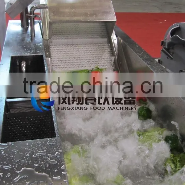 WA-1000 Multi-functional Leaf Vegetable Washer Machine in Stock photo-6