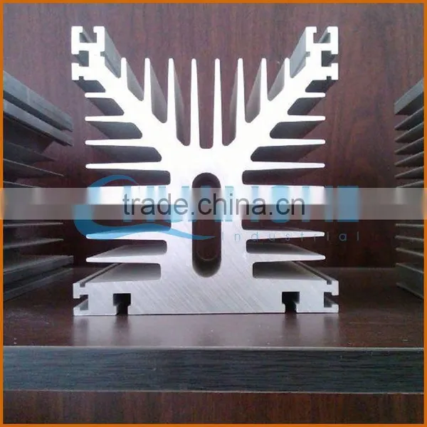 China Heat Sink for Air Conditioner Profiles Supplier photo-5