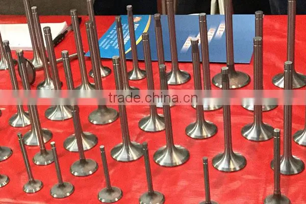 Farm Diesel Engine Specific Exhaust and Intake Valves for Tractor photo-3
