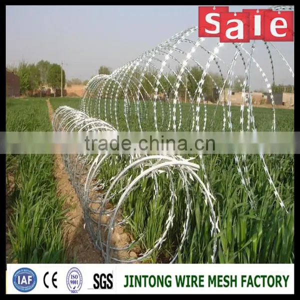 Price Concertina Razor Barbed Wire With Pallet photo-6