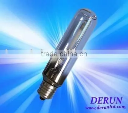 High Pressure Sodium Lamp