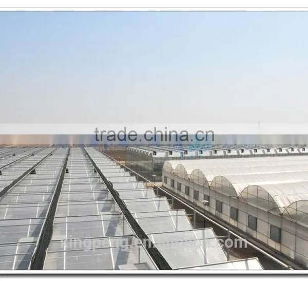 Flat Clear Tempered Transparent Glass Greenhouses for Agriculture (ISO9001:2000) photo-2