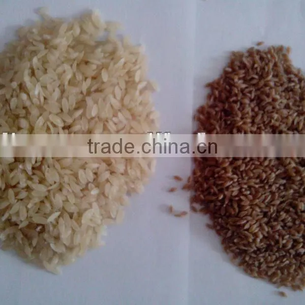 Food Process Line Produce Artificail Rice