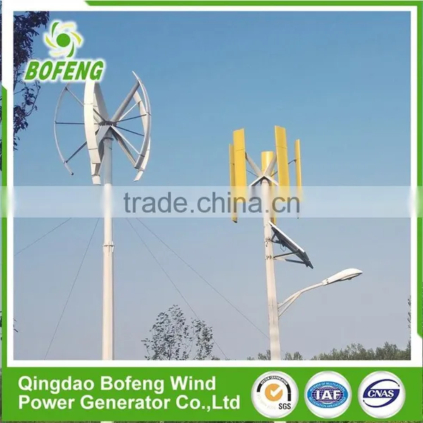 China Exporter All Sizes 300w Home Use Wind Tunnel/maglev Vertical Axis Wind Turbine Generator photo-3