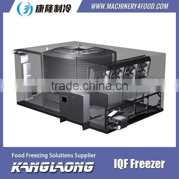 2015 New Design High Quality Spiral Frozen Food Plants photo-3