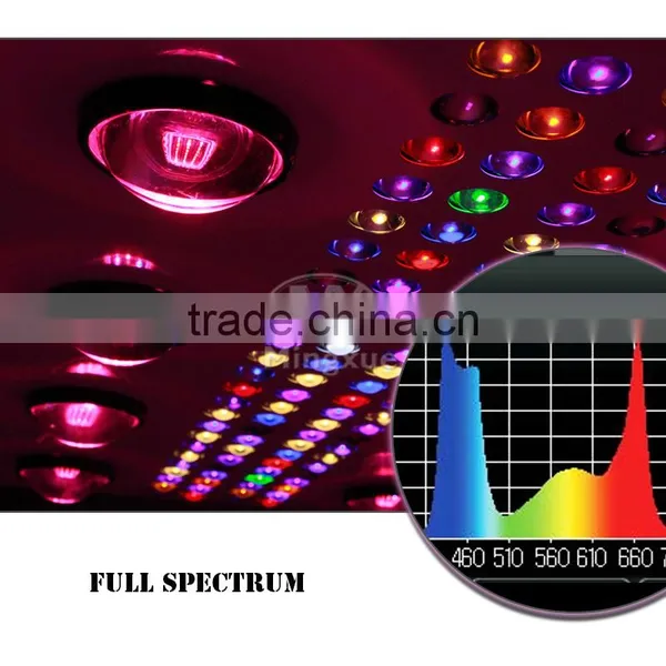 900W Glass Lens Full Spectrum Led Grow Light,Programable Led Grow Light photo-5