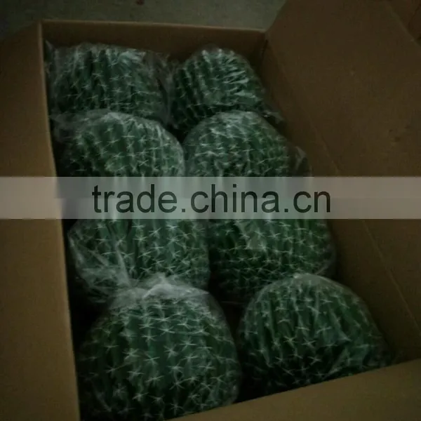 SJ3001014 High Initation Ornamental Artificial Cactus Plant/cactos for Office Decoration photo-6