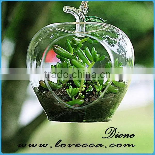 Clear Hanging Hanging 4 Inch Round Ball Air Plant Terrarium Globe photo-3