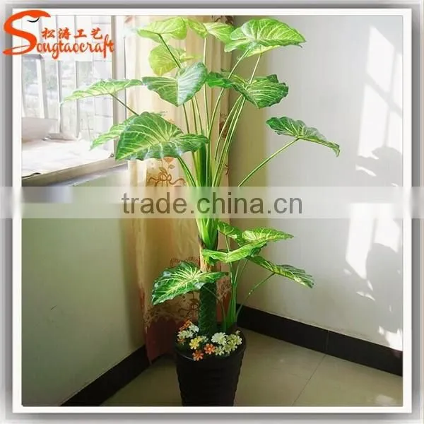 Indoor Decor Cheap Bonsai Plants for Sale Wholesale Artificial Bonsai Tree and Plant photo-2