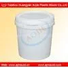 Plastic Paint Bucket Mould
