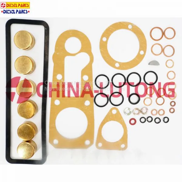 Diesel Pump Repair Kits-cummins Rebuild Kit 1 417 010 003 for ISUZU Ve Pump photo-2