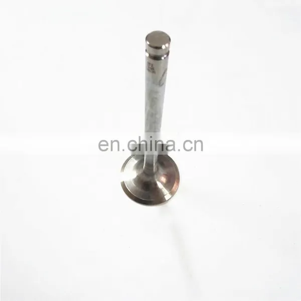 New High Quality Engine Parts, WD615 Engine Intake Valve, 612600050073 photo-4