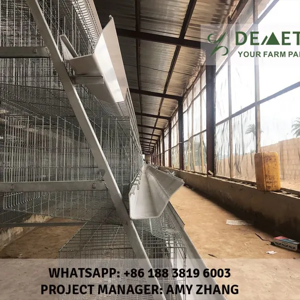 Egg Laying Chicken Cages photo-5