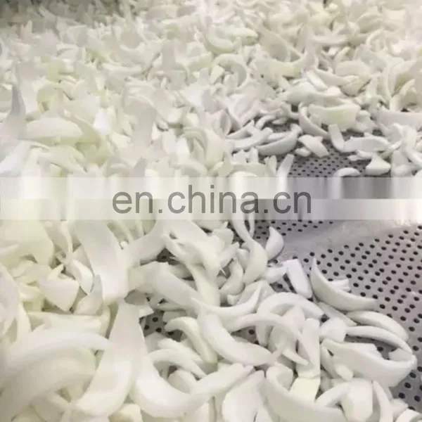 FROZEN VEGETABLE ONION HIGH QUALITY FROM VIETNAM IQF GOOD PRICE HOT SELLING NEW CROP photo-2