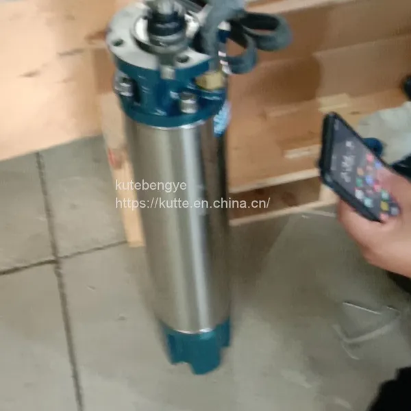 Franklin Deep Well Pump photo-2