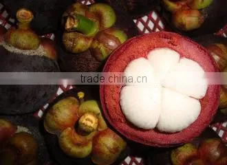 Mangosteen photo-3