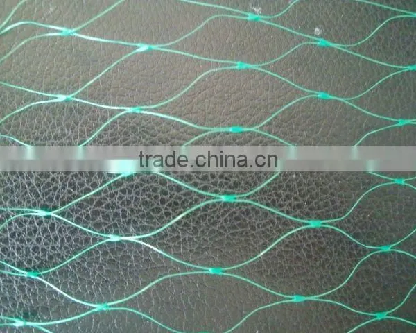 100% PP Plastic Anti-bird Net for Fruit Manufacture photo-3