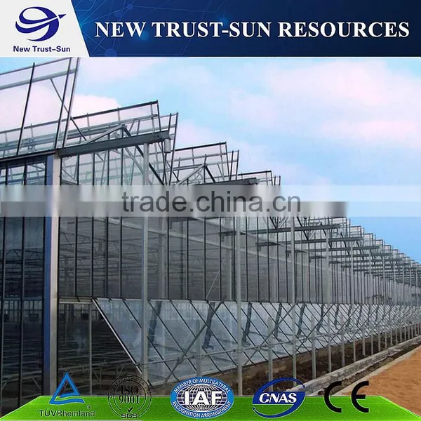 Polycarbonate/PC Multi-span Agricultural Greenhouse