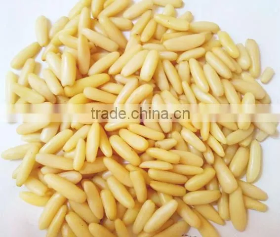 Pine Nut Kernels
