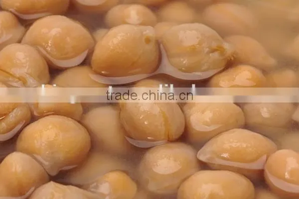 Canned Broad Beans, Canned Broad Beans in Brine for Sale photo-3