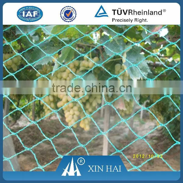 Xinhai Brand PE Fishing Net Agricultural Chap Anti Bird Netting Manufacturer photo-4